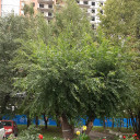 Фотографии 18
