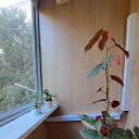 Фотографии 10 Фотографии 10